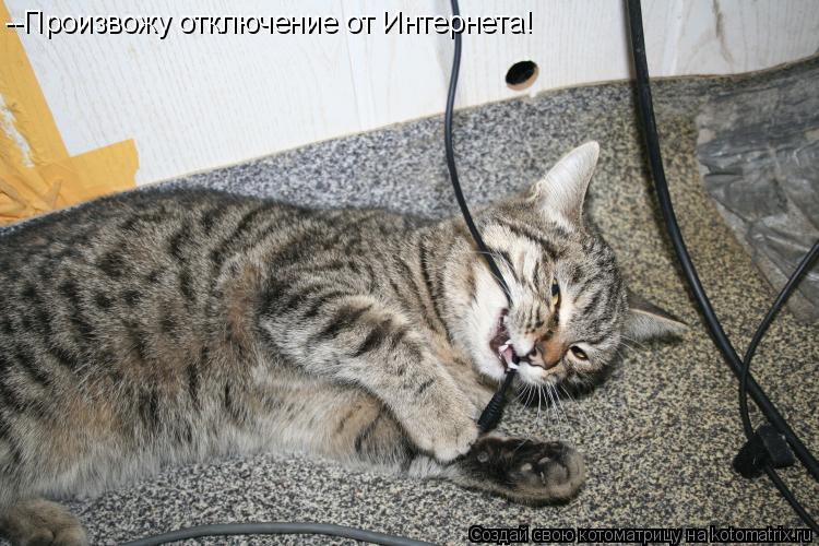 --Произвожу отключение от Интернета!... Котоматрица: --Произвожу отключение от Интернета!