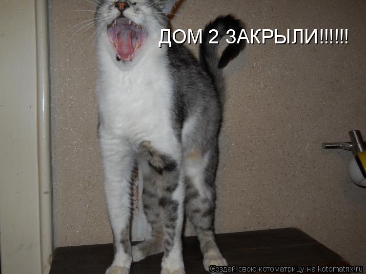 ДОМ 2 ЗАКРЫЛИ!!!!!!... Котоматрица: ДОМ 2 ЗАКРЫЛИ!!!!!!