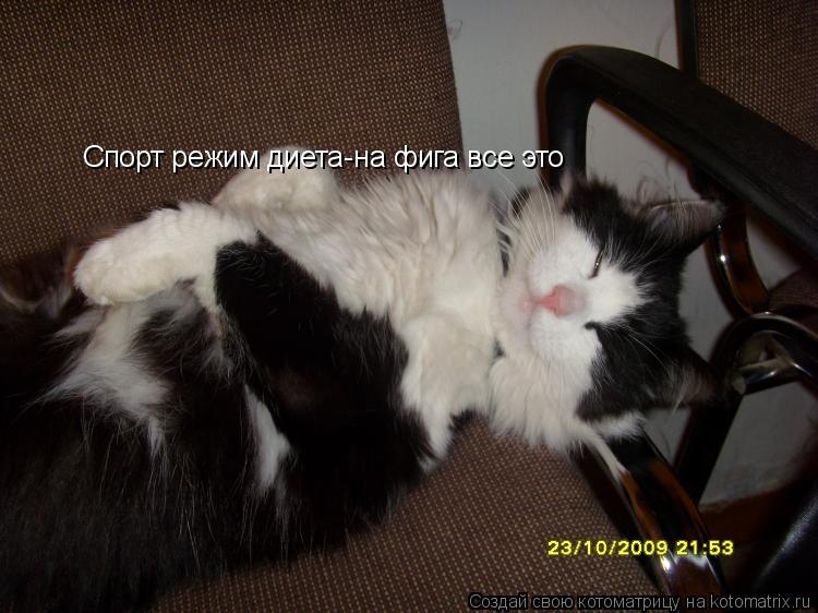 Спорт режим диета-на фига все это... Котоматрица: Спорт режим диета-на фига все это