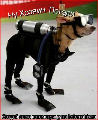 Ну Хозяин Погоди... Котоматрица: Ну Хозяин Погоди