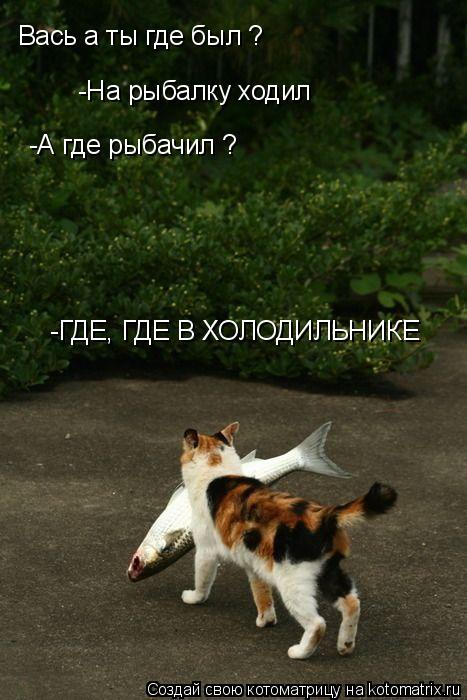 Вась а ты где был ? -На рыбалку ходил -А где рыбачил ? -ГДЕ, ГДЕ В ХОЛОДИЛЬНИКЕ... Котоматрица: Вась а ты где был ? -На рыбалку ходил -А где рыбачил ? -ГДЕ, ГДЕ В ХОЛОДИЛЬНИКЕ
