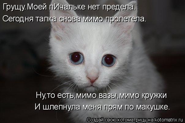 Грущу.Моей пИчальке нет предела. Сегодня тапка снова мимо пролетела. Ну,то есть,мимо вазы,мимо кружки... Котоматрица: Грущу.Моей пИчальке нет предела. Сегодня тапка снова мимо пролетела. Ну,то есть,мимо вазы,мимо кружки И шлепнула меня прям по макушке.
