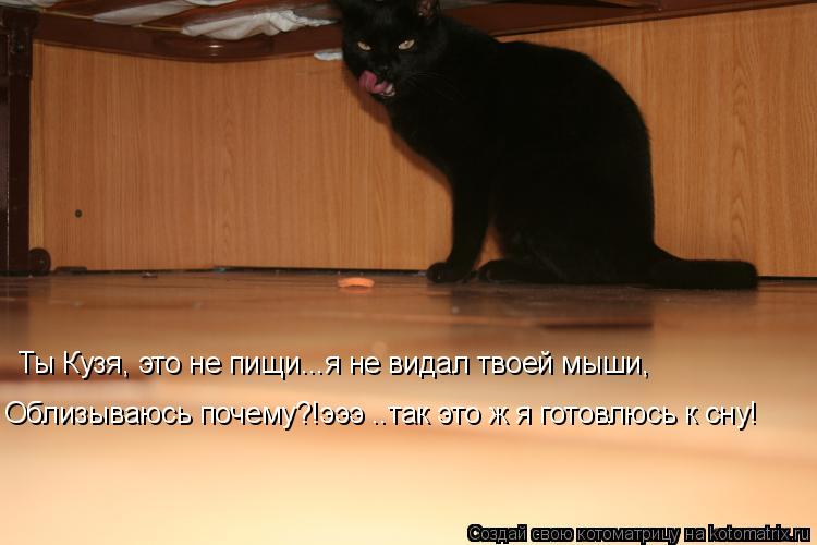 Ты Кузя, это не пищи...я не видал твоей мыши, Облизываюсь почему?!эээ ..так это ж я готовлюсь к сну!... Котоматрица: Ты Кузя, это не пищи...я не видал твоей мыши, Облизываюсь почему?!эээ ..так это ж я готовлюсь к сну!