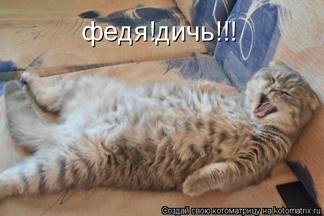 федя!дичь!!!... Котоматрица: федя!дичь!!!
