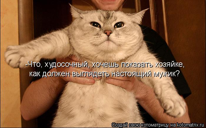 -Что, худосочный, хочешь показать хозяйке, как должен выглядеть настоящий мужик?... Котоматрица: -Что, худосочный, хочешь показать хозяйке, как должен выглядеть настоящий мужик?