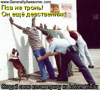 Пса не тронь! Он ещё девственник!... Котоматрица: Пса не тронь! Он ещё девственник!