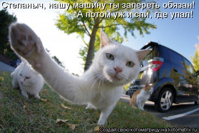 Степаныч, нашу машину ты запереть обязан! А потом уж и спи, где упал!... Котоматрица: Степаныч, нашу машину ты запереть обязан! А потом уж и спи, где упал!
