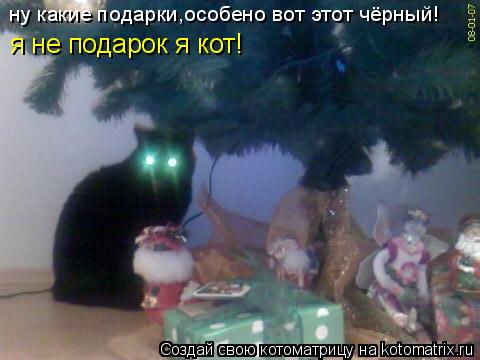 ну какие подарки,особено вот этот чёрный! я не подарок я кот!... Котоматрица: ну какие подарки,особено вот этот чёрный! я не подарок я кот!