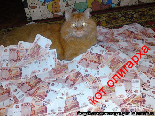 кот олигарха... Котоматрица: кот олигарха