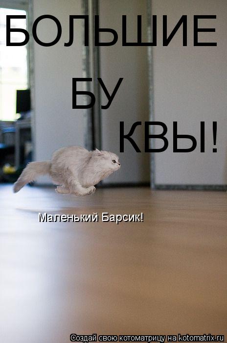 Маленький Барсик! БОЛЬШИЕ БУ КВЫ!... Котоматрица: Маленький Барсик! БОЛЬШИЕ БУ КВЫ!