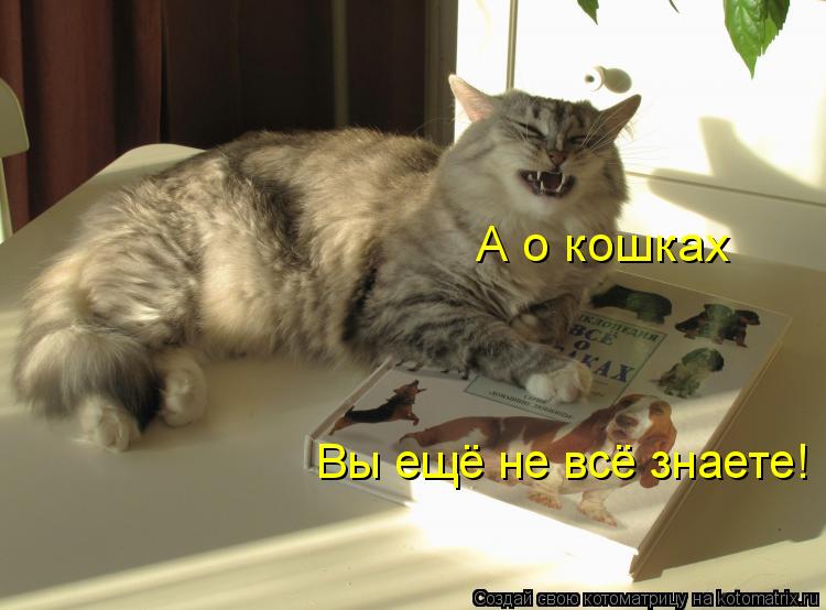 А о кошках Вы ещё не всё знаете!... Котоматрица: А о кошках Вы ещё не всё знаете!