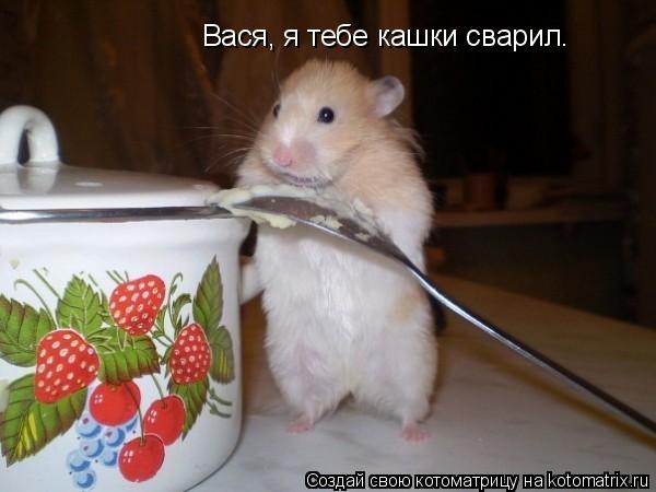 Вася, я тебе кашки сварил.... Котоматрица: Вася, я тебе кашки сварил.