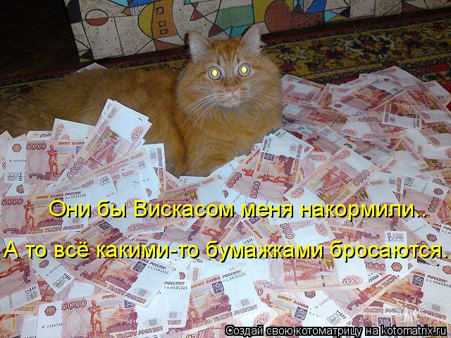 Они бы Вискасом меня накормили.. А то всё какими-то бумажками бросаются..... Котоматрица: Они бы Вискасом меня накормили.. А то всё какими-то бумажками бросаются..