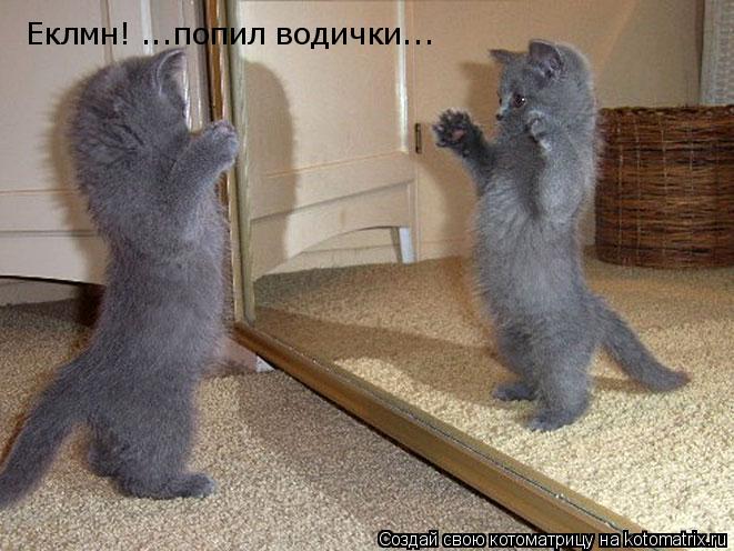 Еклмн! ...попил водички...... Котоматрица: Еклмн! ...попил водички...