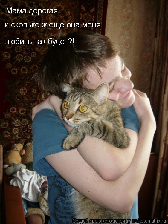 Мама дорогая, и сколько ж еще она меня любить так будет?!... Котоматрица: Мама дорогая, и сколько ж еще она меня любить так будет?!