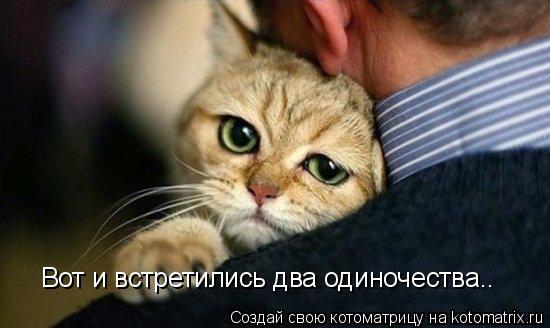 Вот и встретились два одиночества..... Котоматрица: Вот и встретились два одиночества..