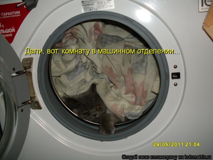 Дали, вот, комнату в машинном отделении...... Котоматрица: Дали, вот, комнату в машинном отделении...