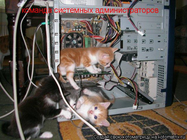 команда системных администраторов... Котоматрица: команда системных администраторов