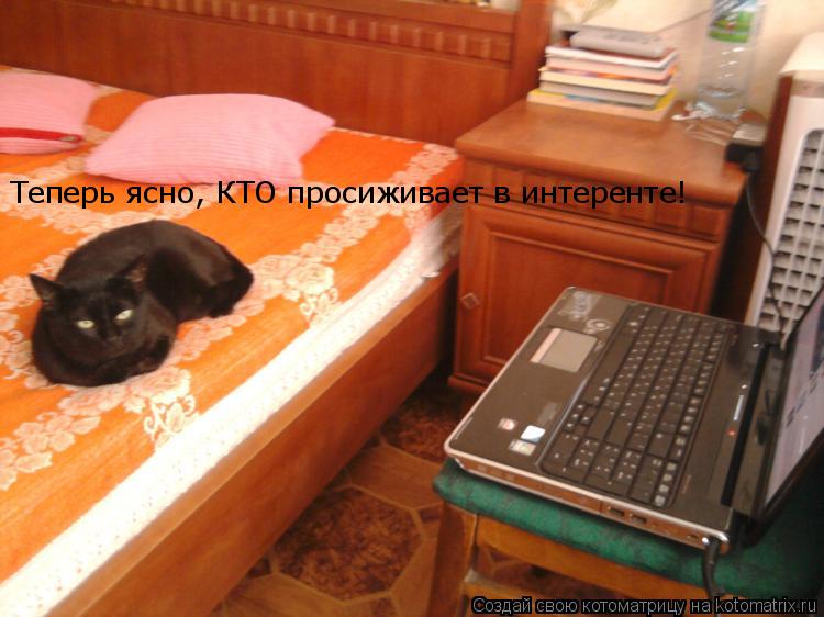 Теперь ясно, КТО просиживает в интеренте!... Котоматрица: Теперь ясно, КТО просиживает в интеренте!