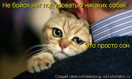Не бойся,нет под кроватью никаких собак. Это просто сон.... Котоматрица: Не бойся,нет под кроватью никаких собак. Это просто сон.