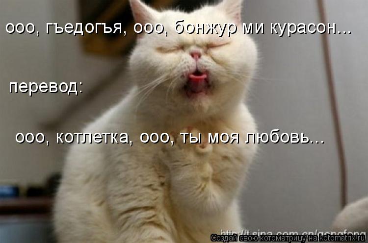 ооо, гъедогъя, ооо, бонжур ми курасон... перевод: ооо, котлетка, ооо, ты моя любовь...... Котоматрица: ооо, гъедогъя, ооо, бонжур ми курасон... перевод: ооо, котлетка, ооо, ты моя любовь...