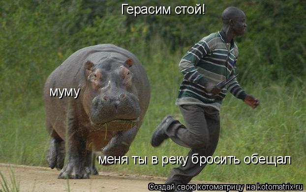 муму Герасим стой! меня ты в реку бросить обещал... Котоматрица: муму Герасим стой! меня ты в реку бросить обещал