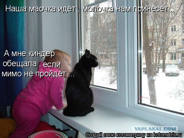 Наша маочка идёт , молочка нам принесёт ... А мне киндер обещала , если мимо не пройдёт ...... Котоматрица: Наша маочка идёт , молочка нам принесёт ... А мне киндер обещала , если мимо не пройдёт ...