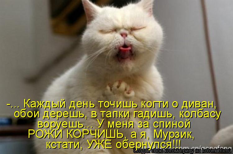 -... Каждый день точишь когти о диван, обои дерешь, в тапки гадишь, колбасу воруешь... У меня за спин... Котоматрица: -... Каждый день точишь когти о диван, обои дерешь, в тапки гадишь, колбасу воруешь... У меня за спиной РОЖИ КОРЧИШЬ, а я, Мурзик, кстати, УЖЕ обе
