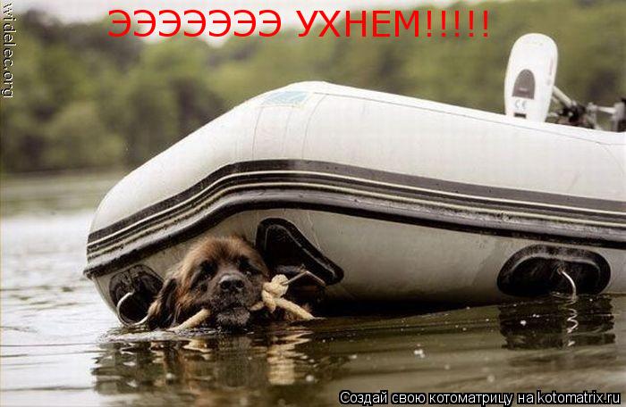 ЭЭЭЭЭЭЭ УХНЕМ!!!!!... Котоматрица: ЭЭЭЭЭЭЭ УХНЕМ!!!!!