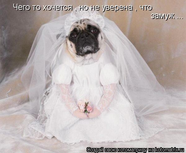 Чего то хочется , но не уверена , что замуж ...... Котоматрица: Чего то хочется , но не уверена , что замуж ...
