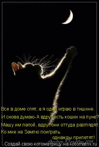 Все в доме спят, а я один играю в тишине. И снова думаю-А вдруг есть кошки на луне? Машу им лапой, вд... Котоматрица: Все в доме спят, а я один играю в тишине. И снова думаю-А вдруг есть кошки на луне? Машу им лапой, вдруг они оттуда разглядят. Ко мне на Землю по