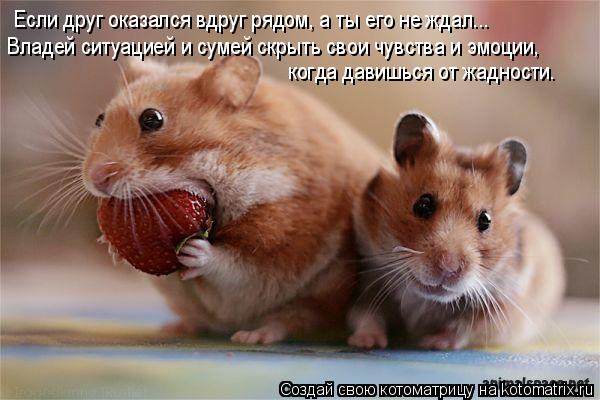 Владей ситуацией и сумей скрыть свои чувства и эмоции, когда давишься от жадности. Если друг оказалс... Котоматрица: Владей ситуацией и сумей скрыть свои чувства и эмоции, когда давишься от жадности. Если друг оказался вдруг рядом, а ты его не ждал...