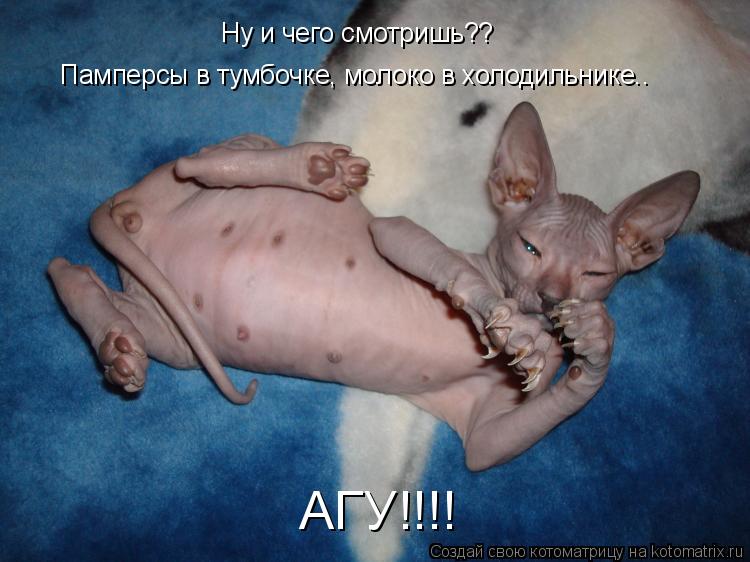 Ну и чего смотришь?? Памперсы в тумбочке, молоко в холодильнике…… АГУ!!!!... Котоматрица: Ну и чего смотришь?? Памперсы в тумбочке, молоко в холодильнике…… АГУ!!!!