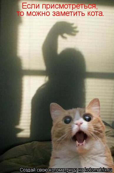 Если присмотреться, то можно заметить кота.... Котоматрица: Если присмотреться, то можно заметить кота.
