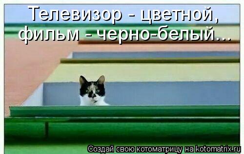 Телевизор - цветной, фильм - черно-белый...... Котоматрица: Телевизор - цветной, фильм - черно-белый...