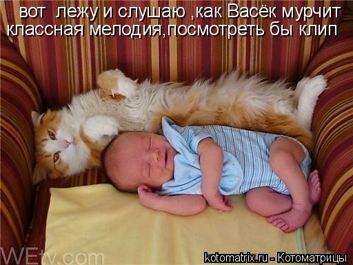 вот лежу и слушаю ,как Васёк мурчит классная мелодия,посмотреть бы клип... Котоматрица: вот лежу и слушаю ,как Васёк мурчит классная мелодия,посмотреть бы клип