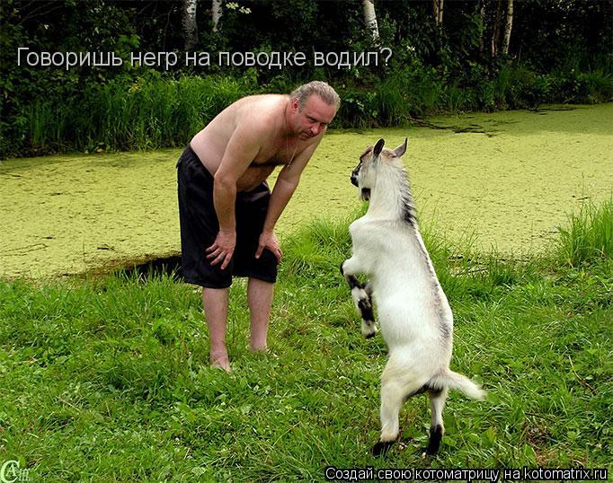Говоришь негр на поводке водил?... Котоматрица: Говоришь негр на поводке водил?