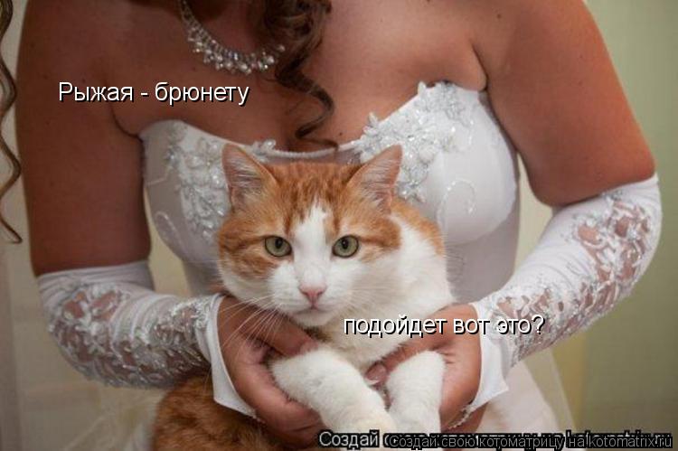Рыжая - брюнету подойдет вот это?... Котоматрица: Рыжая - брюнету подойдет вот это?