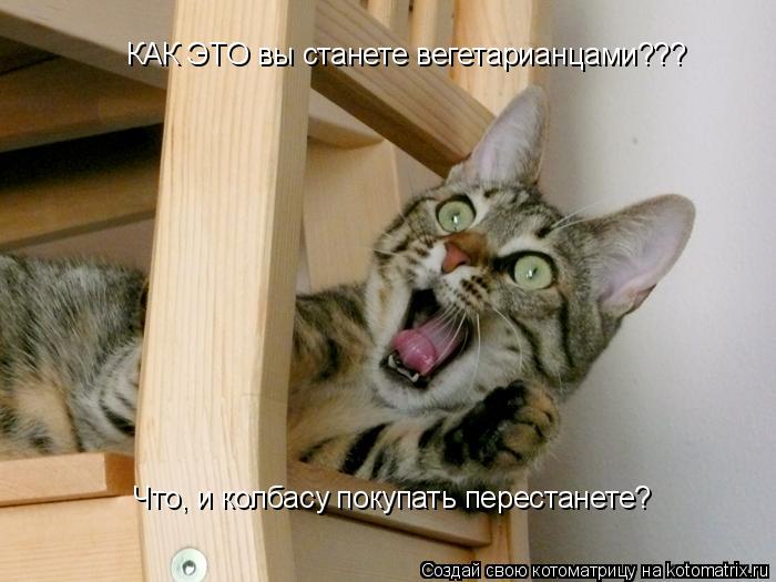 КАК ЭТО вы станете вегетарианцами??? Что, и колбасу покупать перестанете?... Котоматрица: КАК ЭТО вы станете вегетарианцами??? Что, и колбасу покупать перестанете?