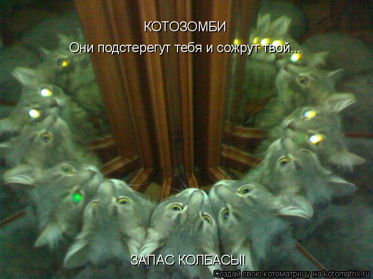 КОТОЗОМБИ Они подстерегут тебя и сожрут твой... ЗАПАС КОЛБАСЫ!... Котоматрица: КОТОЗОМБИ Они подстерегут тебя и сожрут твой... ЗАПАС КОЛБАСЫ!
