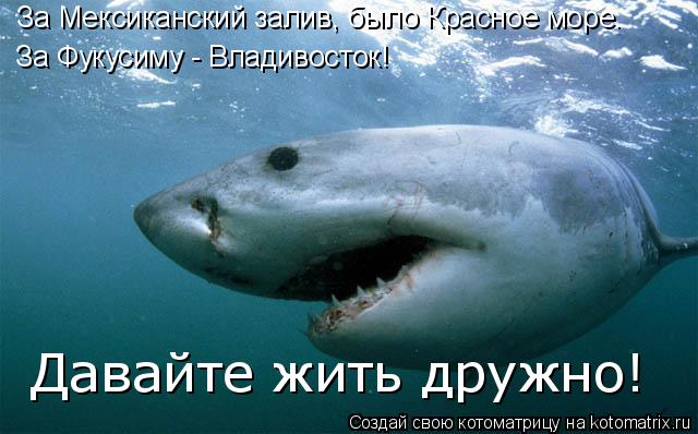 За Мексиканский залив, было Красное море. За Фукусиму - Владивосток! Давайте жить дружно!... Котоматрица: За Мексиканский залив, было Красное море. За Фукусиму - Владивосток! Давайте жить дружно!