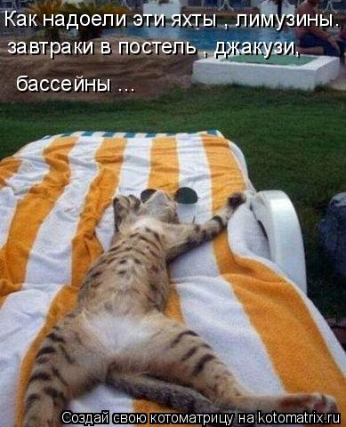 Как надоели эти яхты , лимузины. завтраки в постель , джакузи, бассейны ...... Котоматрица: Как надоели эти яхты , лимузины. завтраки в постель , джакузи, бассейны ...