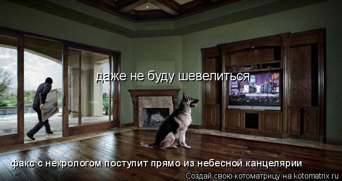даже не буду шевелиться факс с некрологом поступит прямо из небесной канцелярии... Котоматрица: даже не буду шевелиться факс с некрологом поступит прямо из небесной канцелярии