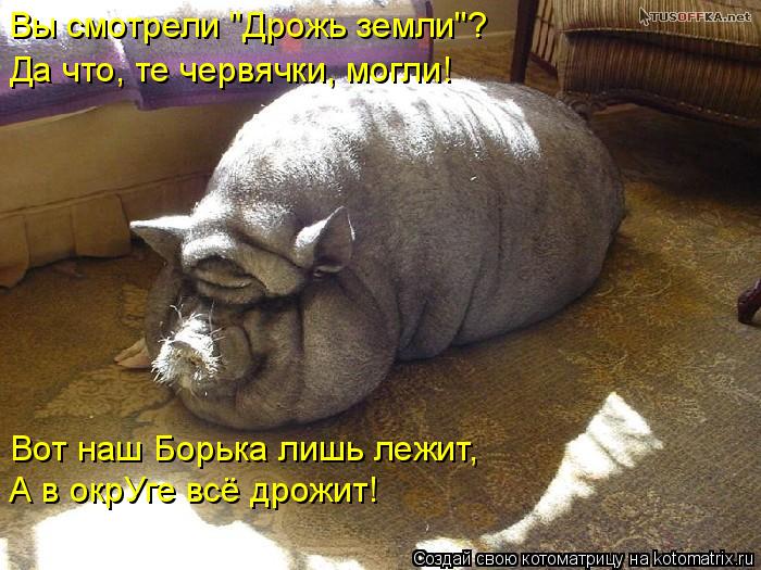 Вы смотрели "Дрожь земли"? Да что, те червячки, могли! Вот наш Борька лишь лежит, А в окрУге всё дро... Котоматрица: Вы смотрели "Дрожь земли"? Да что, те червячки, могли! Вот наш Борька лишь лежит, А в окрУге всё дрожит!