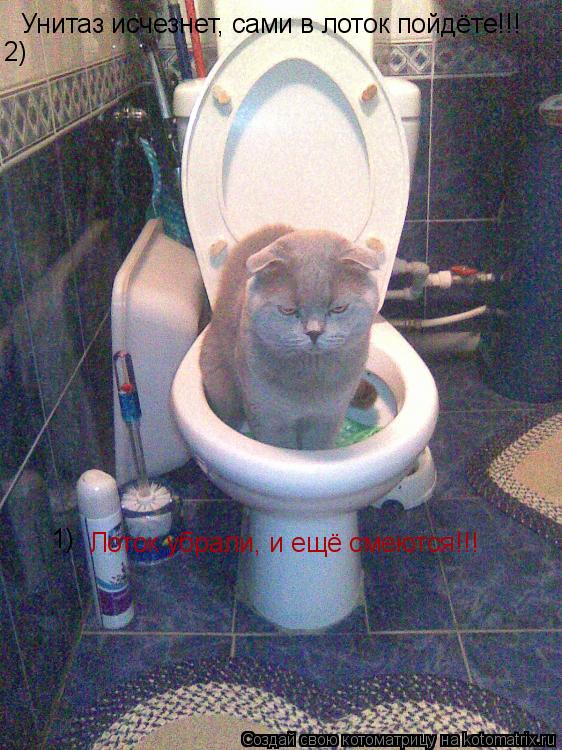 Котоматрица: Лоток убрали, и ещё смеются!!! Унитаз исчезнет, сами в лоток пойдёте!!! 1) 2)