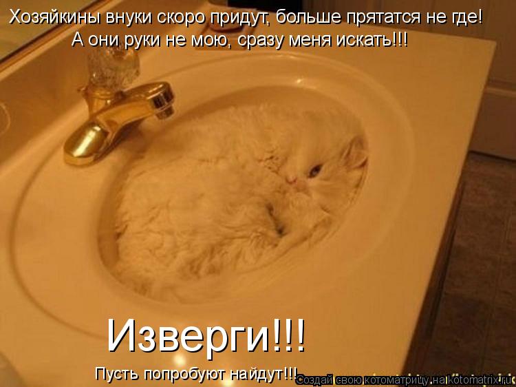 Котоматрица: Хозяйкины внуки скоро придут, больше прятатся не где! А они руки не мою, сразу меня искать!!! Изверги!!! Пусть попробуют найдут!!!