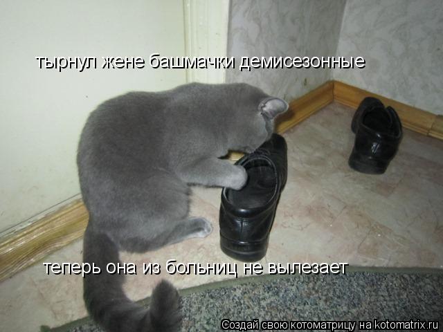 Котоматрица: тырнул жене башмачки демисезонные теперь она из больниц не вылезает