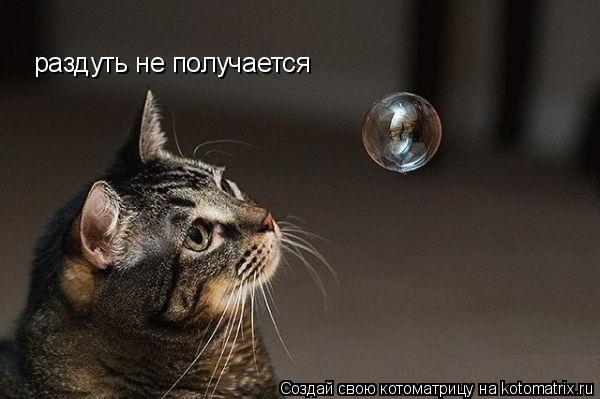 Котоматрица: раздуть не получается