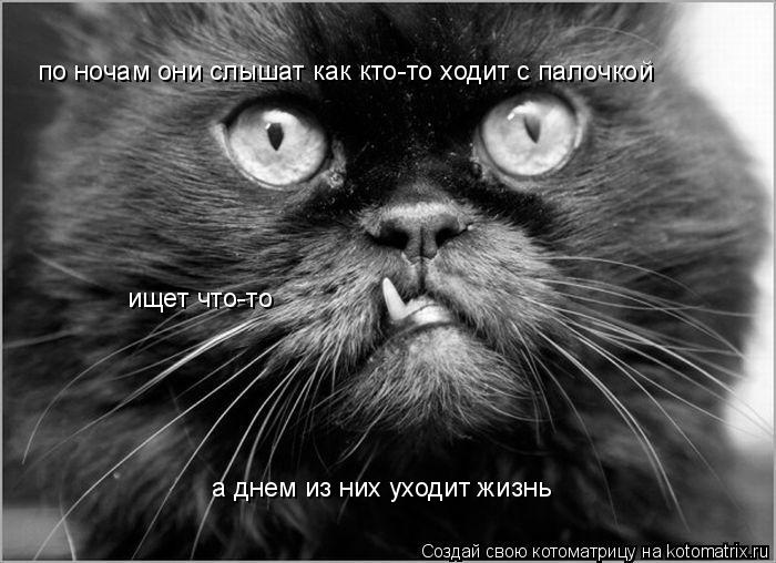 Котоматрица: по ночам они слышат как кто-то ходит с палочкой а днем из них уходит жизнь ищет что-то