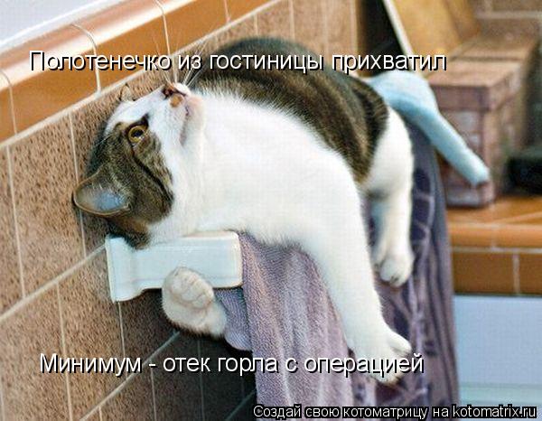 Котоматрица: Полотенечко из гостиницы прихватил Минимум - отек горла с операцией